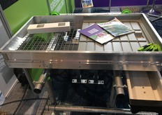 KG Systems had huge interest from delegates for its mobile container systems, which can be used for a wide range of crops - but one of the biggest growing areas is medicinal cannabis.